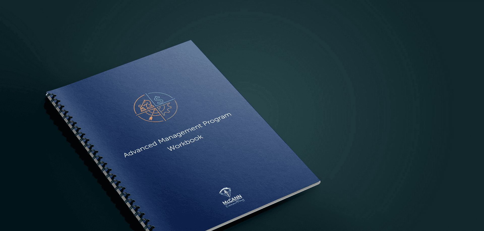 McCann hero, workbook